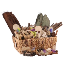 Botanical Treasure Basket from Hope Education